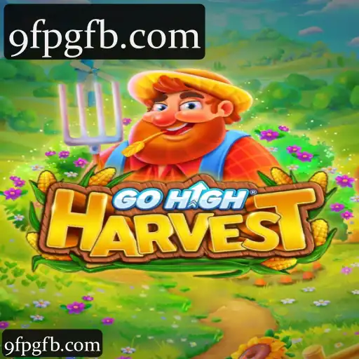 A Experiência Completa de Apostas Online na 9fpg com GoHighHarvest